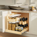 2 Tier Pull Out Under Sink Organizer
