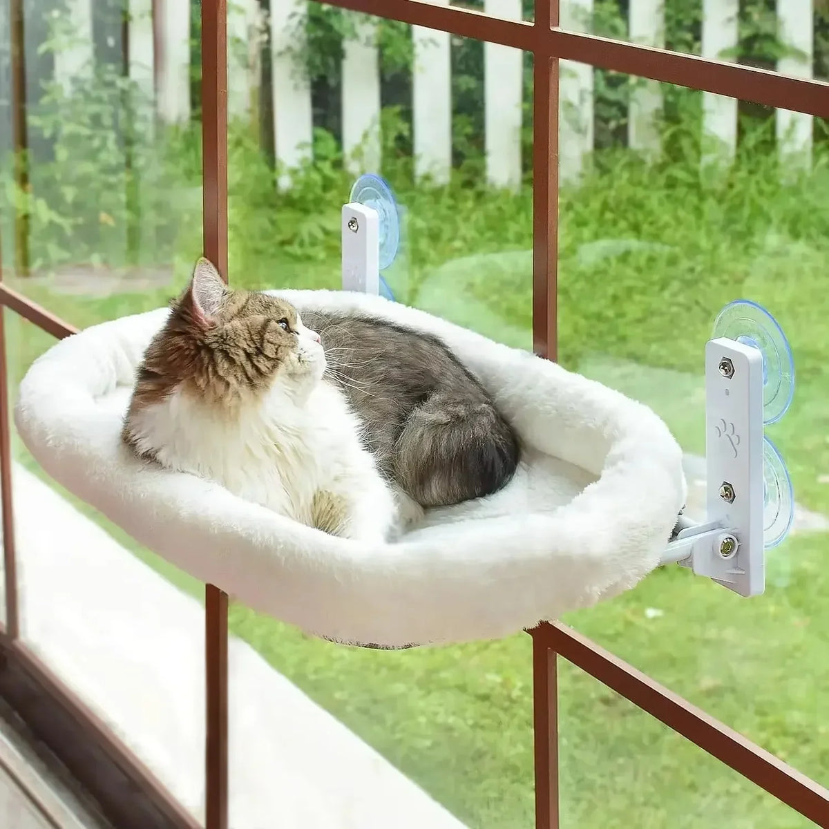 Cat Window Hammock Perch – Suction Cup Wall-Mount Sunbathing Seat with Reversible Plush Cover, 2 Sizes